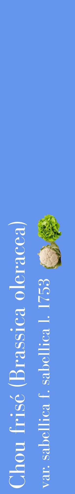 Étiquette de : Brassica oleracea var. sabellica f. sabellica l. 1753 - format c - style blanche4_basiquebod avec comestibilité simplifiée