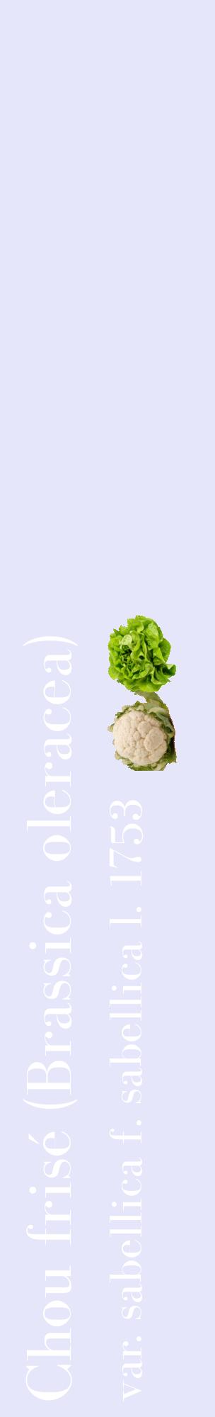 Étiquette de : Brassica oleracea var. sabellica f. sabellica l. 1753 - format c - style blanche55_basiquebod avec comestibilité simplifiée