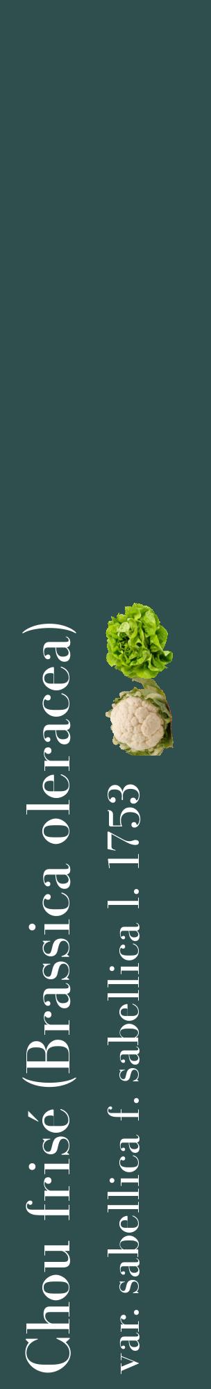 Étiquette de : Brassica oleracea var. sabellica f. sabellica l. 1753 - format c - style blanche58_basiquebod avec comestibilité simplifiée