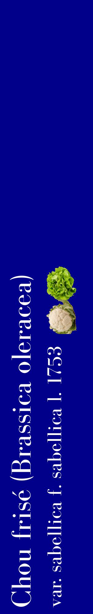 Étiquette de : Brassica oleracea var. sabellica f. sabellica l. 1753 - format c - style blanche7_basiquebod avec comestibilité simplifiée