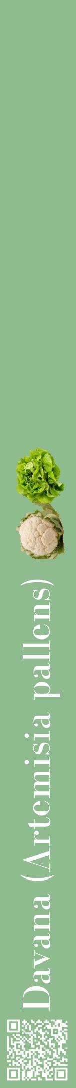 Étiquette de : Artemisia pallens - format a - style blanche13bod avec qrcode et comestibilité simplifiée