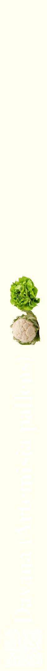 Étiquette de : Artemisia pallens - format a - style blanche19bod avec qrcode et comestibilité simplifiée