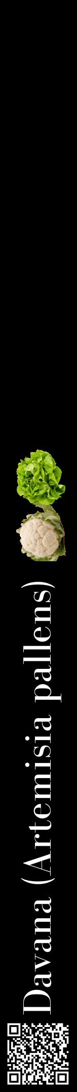 Étiquette de : Artemisia pallens - format a - style blanche59bod avec qrcode et comestibilité simplifiée