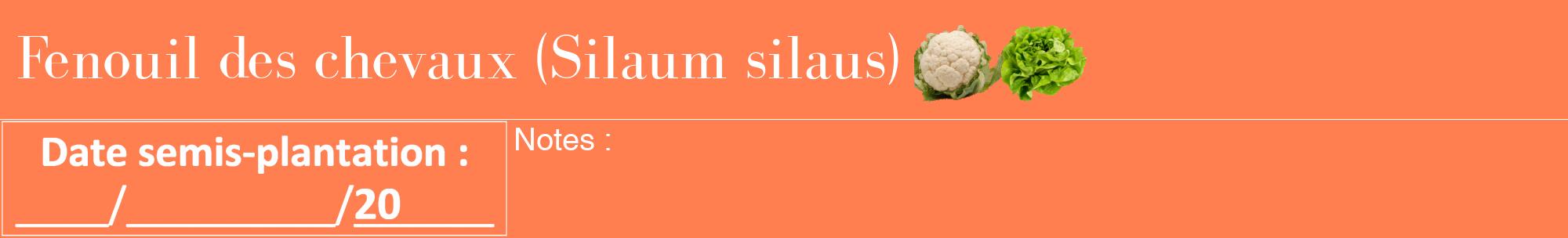 Étiquette de : Silaum silaus - format a - style blanche24bod avec comestibilité simplifiée