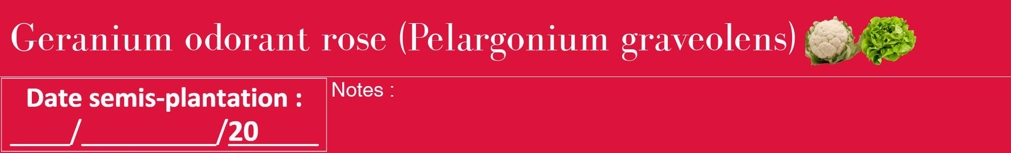 Étiquette de : Pelargonium graveolens - format a - style blanche36bod avec comestibilité simplifiée