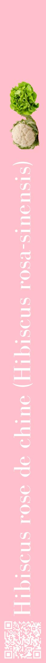 Étiquette de : Hibiscus rosa-sinensis - format a - style blanche40bod avec qrcode et comestibilité simplifiée