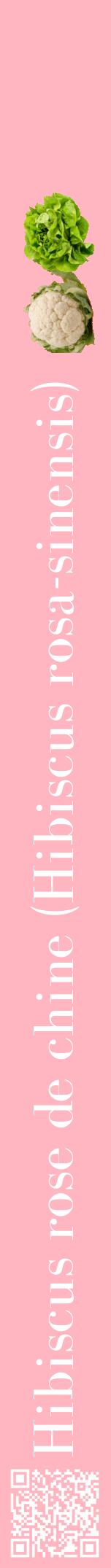 Étiquette de : Hibiscus rosa-sinensis - format a - style blanche41bod avec qrcode et comestibilité simplifiée