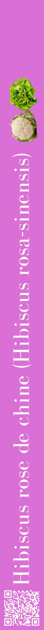 Étiquette de : Hibiscus rosa-sinensis - format a - style blanche52bod avec qrcode et comestibilité simplifiée