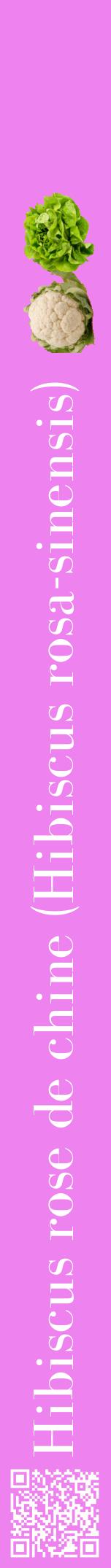 Étiquette de : Hibiscus rosa-sinensis - format a - style blanche53bod avec qrcode et comestibilité simplifiée