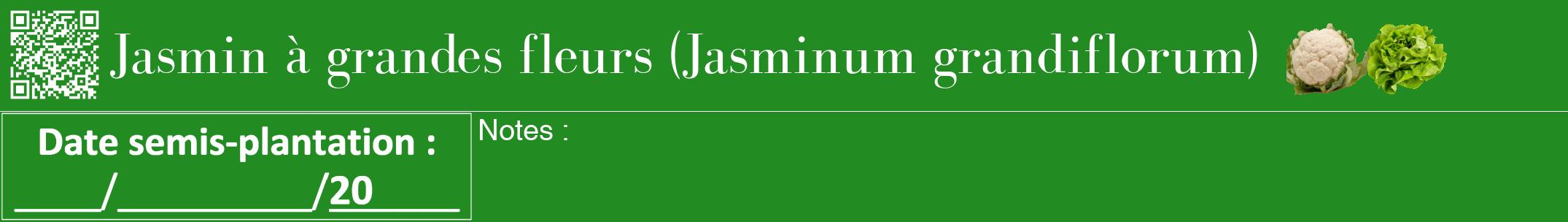 Étiquette de : Jasminum grandiflorum - format a - style blanche10bod avec qrcode et comestibilité simplifiée
