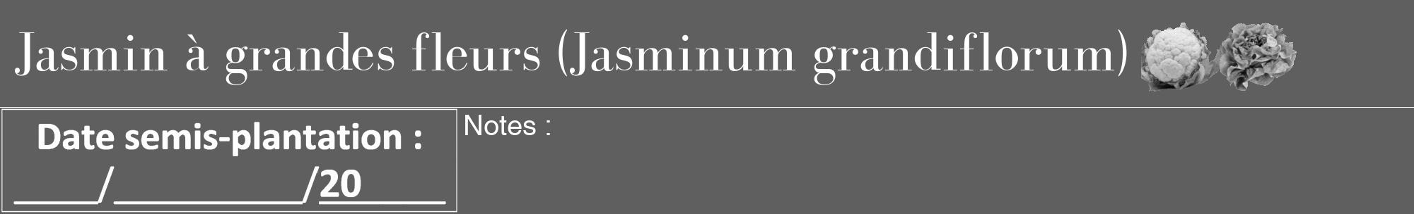Étiquette de : Jasminum grandiflorum - format a - style blanche10bod avec comestibilité simplifiée