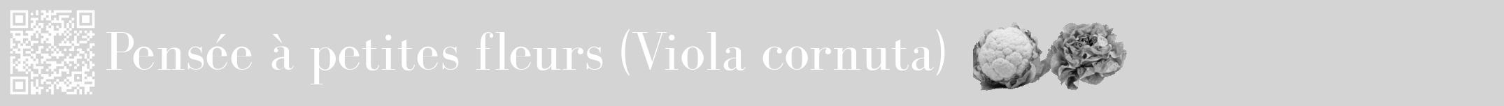 Étiquette de : Viola cornuta - format a - style blanche40bod avec qrcode et comestibilité simplifiée