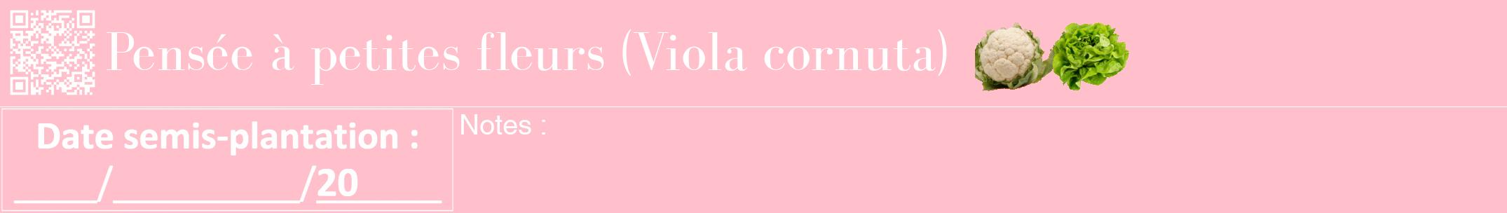Étiquette de : Viola cornuta - format a - style blanche40bod avec qrcode et comestibilité simplifiée