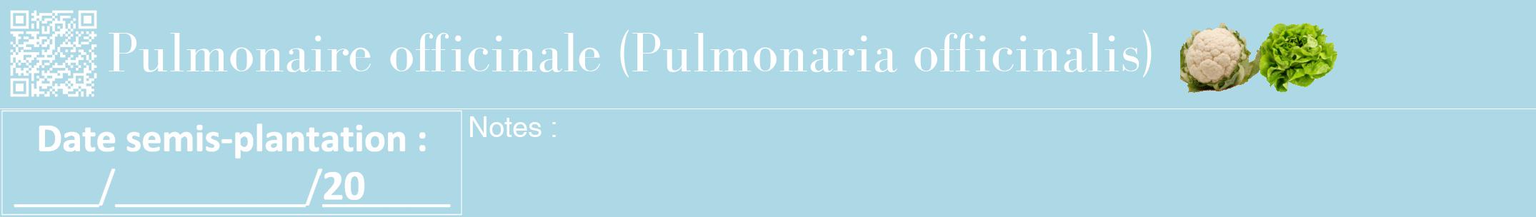 Étiquette de : Pulmonaria officinalis - format a - style blanche0bod avec qrcode et comestibilité simplifiée