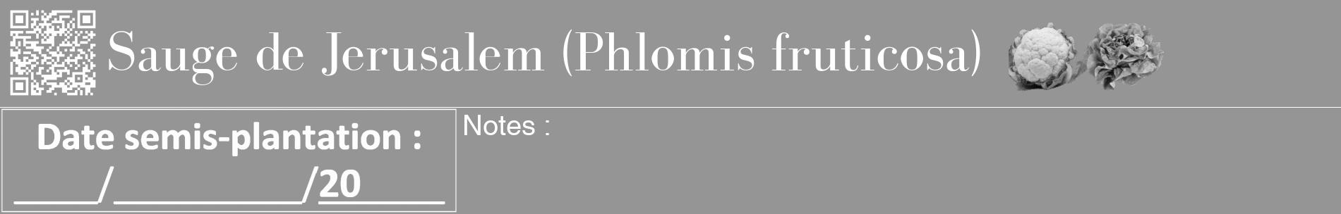 Étiquette de : Phlomis fruticosa - format a - style blanche16basiquebod avec qrcode et comestibilité simplifiée