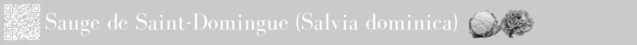 Étiquette de : Salvia dominica - format a - style blanche21bod avec qrcode et comestibilité simplifiée