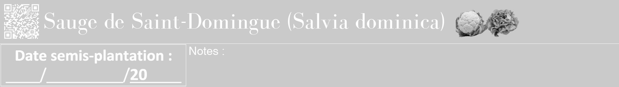 Étiquette de : Salvia dominica - format a - style blanche21bod avec qrcode et comestibilité simplifiée