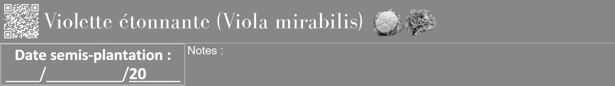 Étiquette de : Viola mirabilis - format a - style blanche12bod avec qrcode et comestibilité simplifiée