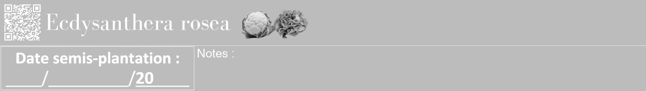 Étiquette de : Ecdysanthera rosea - format a - style blanche1bod avec qrcode et comestibilité simplifiée