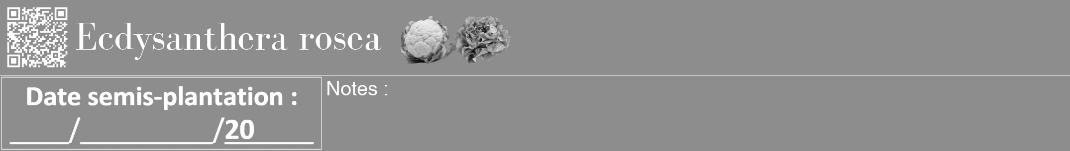 Étiquette de : Ecdysanthera rosea - format a - style blanche2bod avec qrcode et comestibilité simplifiée