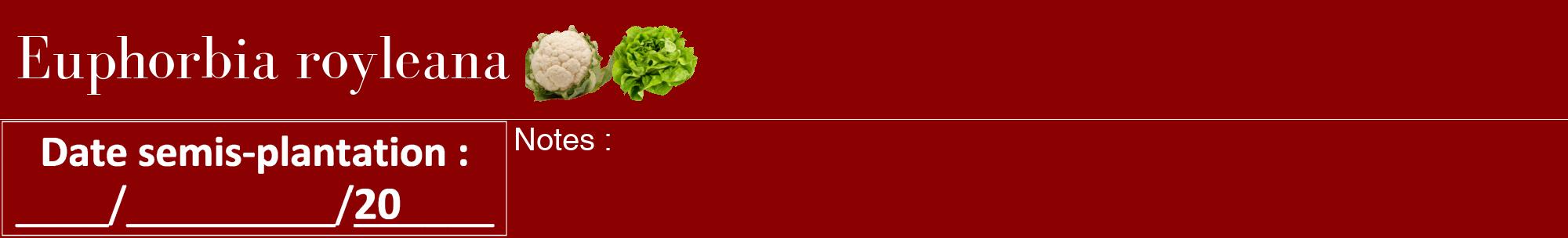Étiquette de : Euphorbia royleana - format a - style blanche34basiquebod avec comestibilité simplifiée