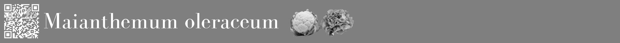 Étiquette de : Maianthemum oleraceum - format a - style blanche31bod avec qrcode et comestibilité simplifiée