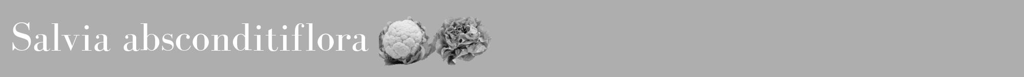 Étiquette de : Salvia absconditiflora - format a - style blanche53bod avec comestibilité simplifiée