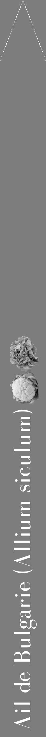 Étiquette de : Allium siculum - format b - style blanche35bod avec comestibilité simplifiée - position verticale