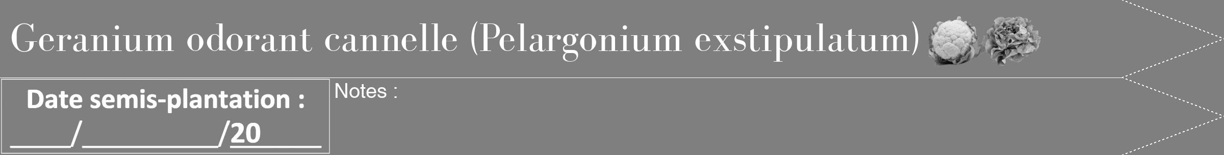Étiquette de : Pelargonium exstipulatum - format b - style blanche31bod avec comestibilité simplifiée