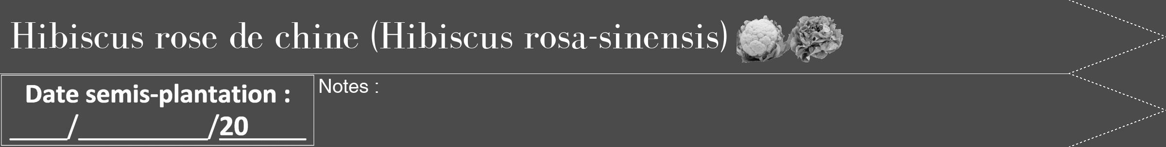 Étiquette de : Hibiscus rosa-sinensis - format b - style blanche9bod avec comestibilité simplifiée