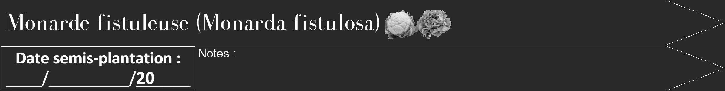 Étiquette de : Monarda fistulosa - format b - style blanche34bod avec comestibilité simplifiée