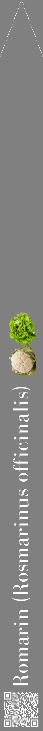 Étiquette de : Rosmarinus officinalis - format b - style blanche57bod avec qrcode et comestibilité simplifiée