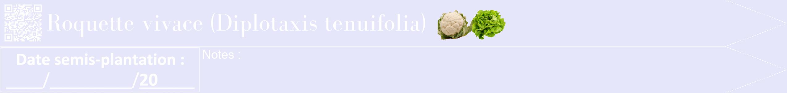 Étiquette de : Diplotaxis tenuifolia - format b - style blanche55bod avec qrcode et comestibilité simplifiée
