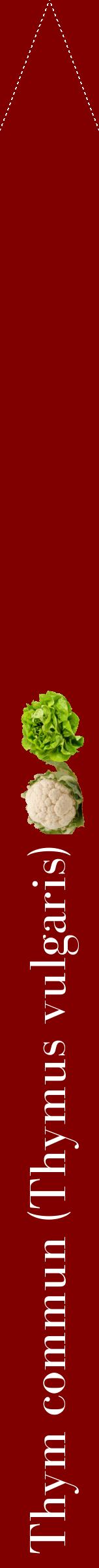 Étiquette de : Thymus vulgaris - format b - style blanche29bod avec comestibilité simplifiée