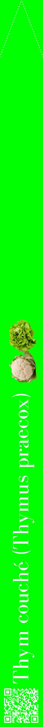 Étiquette de : Thymus praecox - format b - style blanche16bod avec qrcode et comestibilité simplifiée