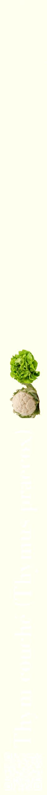 Étiquette de : Thymus praecox - format b - style blanche19bod avec qrcode et comestibilité simplifiée