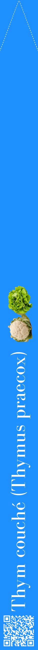 Étiquette de : Thymus praecox - format b - style blanche3bod avec qrcode et comestibilité simplifiée