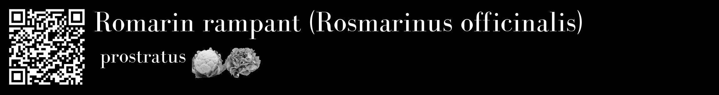 Étiquette de : Rosmarinus officinalis prostratus - format c - style blanche59_basique_basiquebod avec qrcode et comestibilité simplifiée