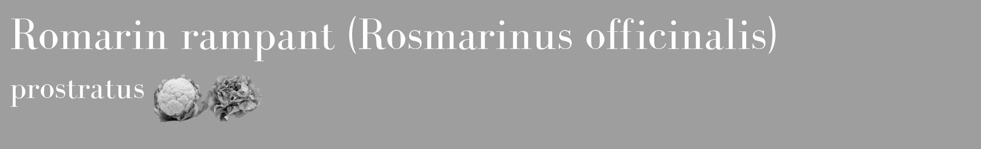 Étiquette de : Rosmarinus officinalis prostratus - format c - style blanche42basique_basique_basiquebod avec comestibilité simplifiée