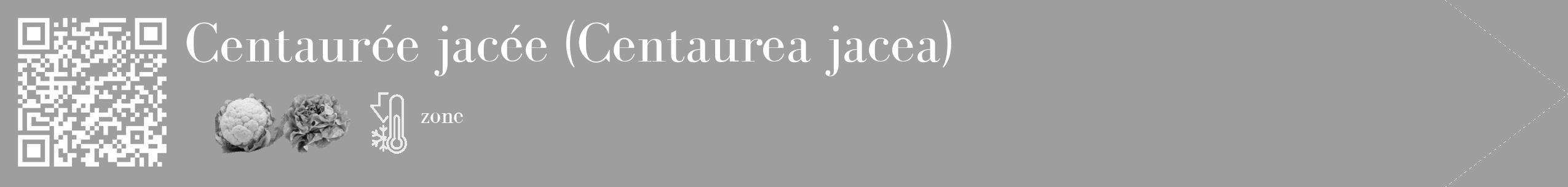 Étiquette de : Centaurea jacea - format c - style blanche42_simple_simplebod avec qrcode et comestibilité simplifiée