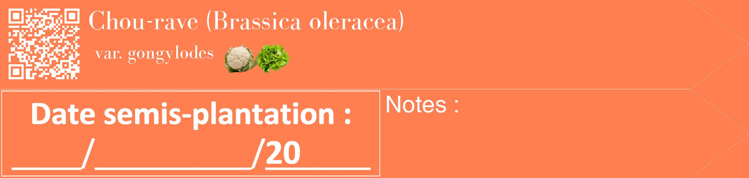 Étiquette de : Brassica oleracea var. gongylodes - format c - style blanche24_simple_simplebod avec qrcode et comestibilité simplifiée
