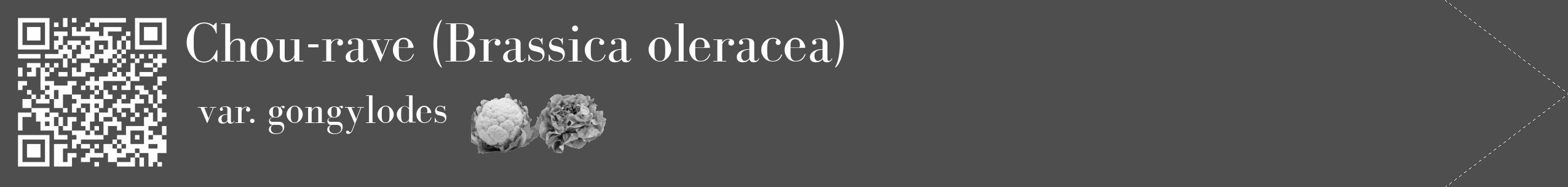 Étiquette de : Brassica oleracea var. gongylodes - format c - style blanche33_simple_simplebod avec qrcode et comestibilité simplifiée