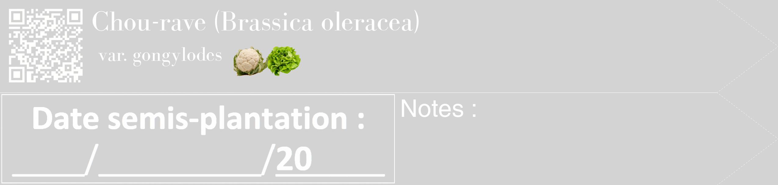 Étiquette de : Brassica oleracea var. gongylodes - format c - style blanche56_simple_simplebod avec qrcode et comestibilité simplifiée