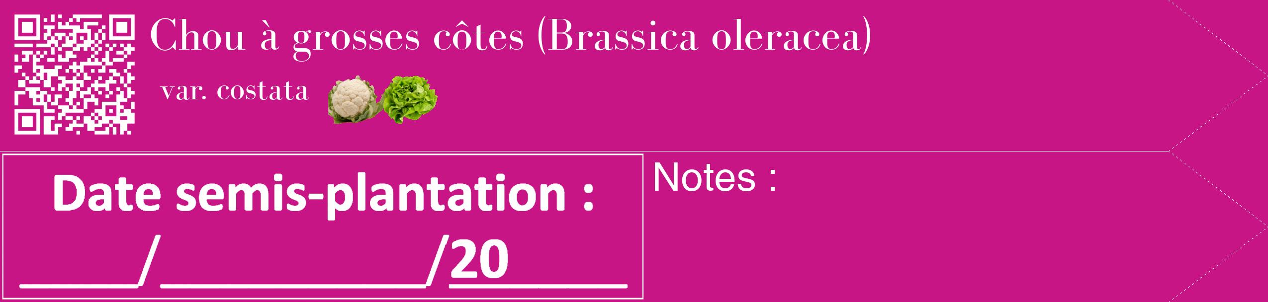 Étiquette de : Brassica oleracea var. costata - format c - style blanche45_simple_simplebod avec qrcode et comestibilité simplifiée