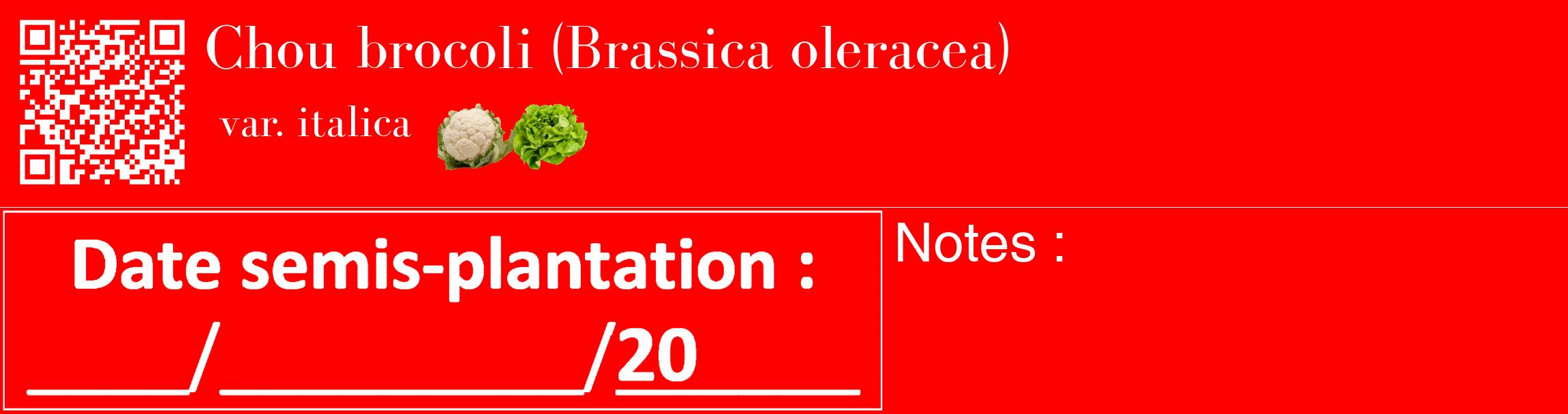 Étiquette de : Brassica oleracea var. italica - format c - style blanche27_basique_basiquebod avec qrcode et comestibilité simplifiée