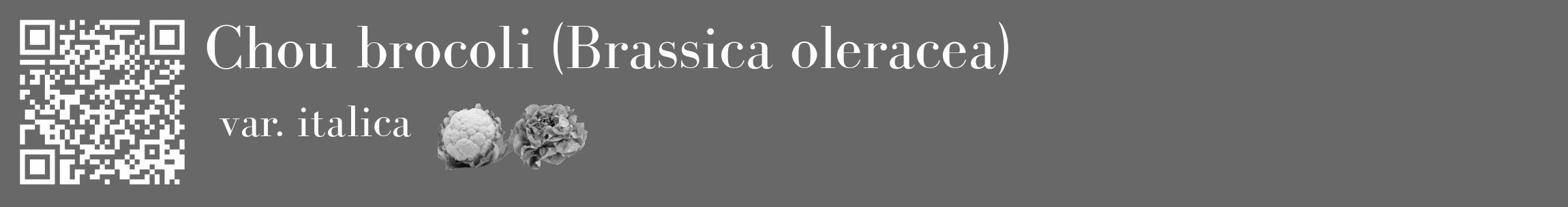 Étiquette de : Brassica oleracea var. italica - format c - style blanche6_basique_basiquebod avec qrcode et comestibilité simplifiée