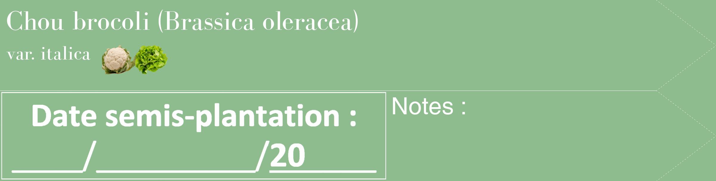 Étiquette de : Brassica oleracea var. italica - format c - style blanche13_simple_simplebod avec comestibilité simplifiée