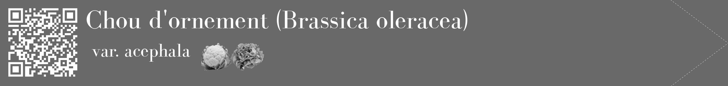 Étiquette de : Brassica oleracea var. acephala - format c - style blanche11_simple_simplebod avec qrcode et comestibilité simplifiée
