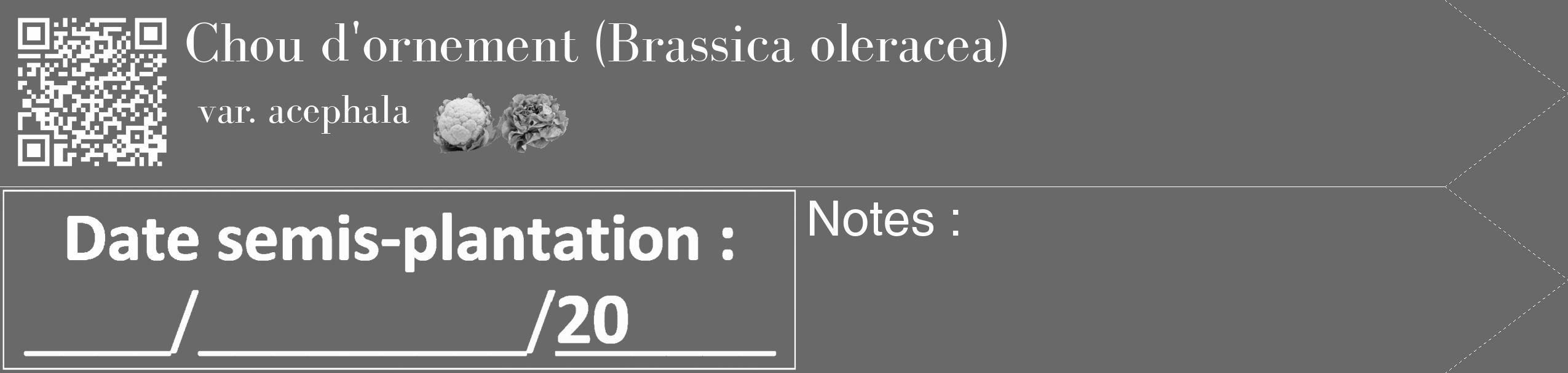 Étiquette de : Brassica oleracea var. acephala - format c - style blanche11_simple_simplebod avec qrcode et comestibilité simplifiée