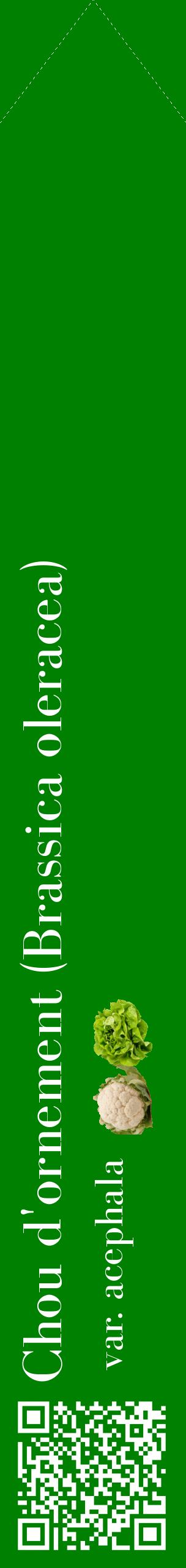 Étiquette de : Brassica oleracea var. acephala - format c - style blanche9_simplebod avec qrcode et comestibilité simplifiée